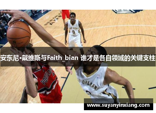 安东尼·戴维斯与Faith_bian 谁才是各自领域的关键支柱