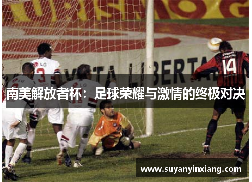 南美解放者杯：足球荣耀与激情的终极对决