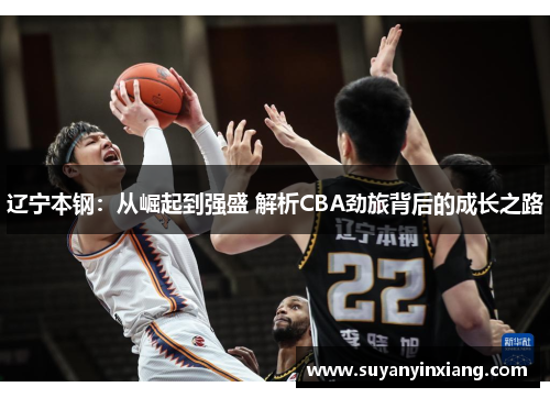辽宁本钢：从崛起到强盛 解析CBA劲旅背后的成长之路