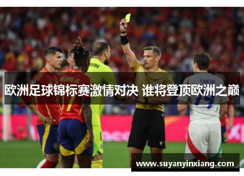 欧洲足球锦标赛激情对决 谁将登顶欧洲之巅