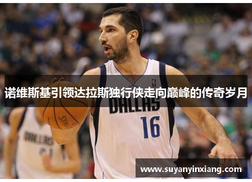 诺维斯基引领达拉斯独行侠走向巅峰的传奇岁月