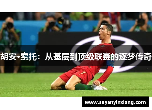 胡安·索托:从基层到顶级联赛的逐梦传奇 胡安·索托:从基层到顶级联赛的逐梦传奇